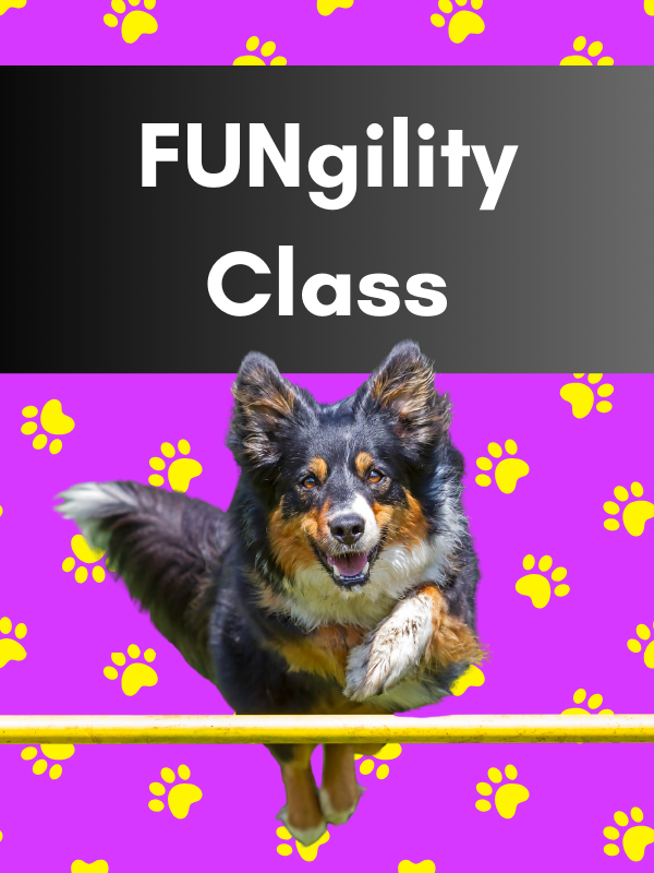 Purchase Fungility 8 Week Package
