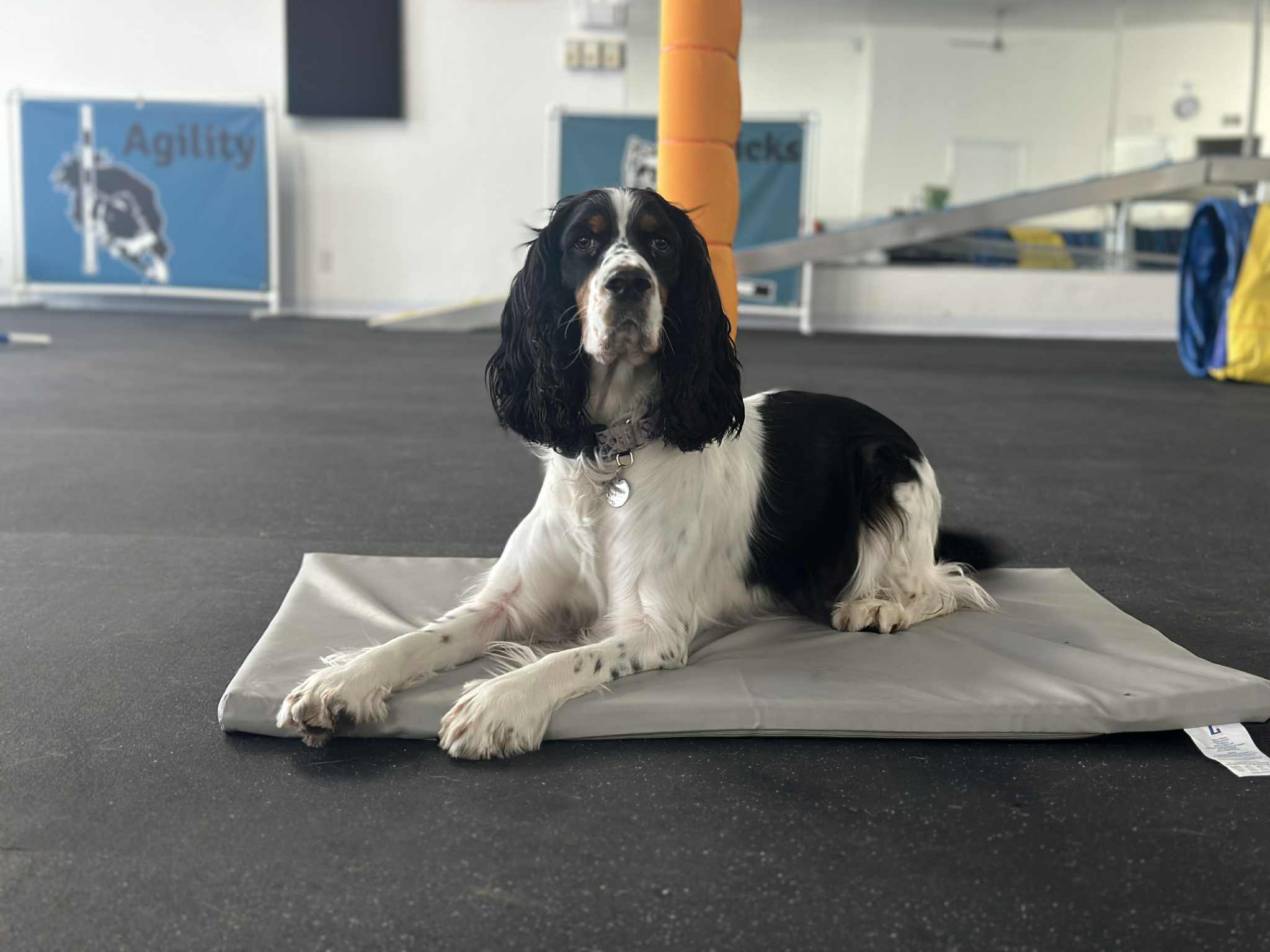 Purchase 3 Basics and Beyond Group Classes