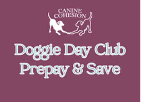 Purchase Day Club- 8 Half Day Package