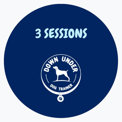 Purchase 3 Session Package for One on One Training 