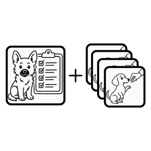 Purchase One on One - Puppy Foundations (In Person)