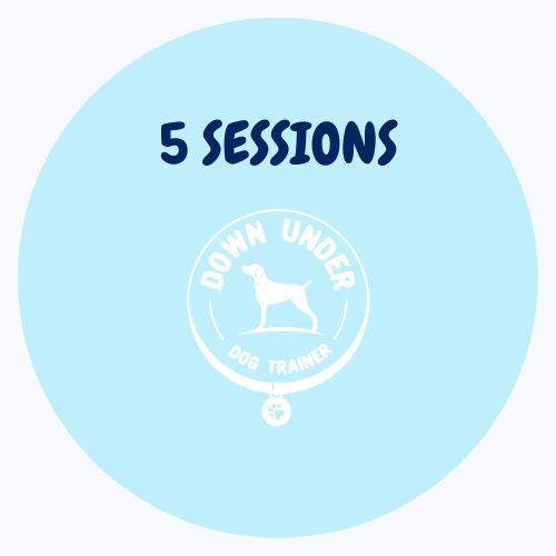 Purchase 5 Session Package for One on One Training 