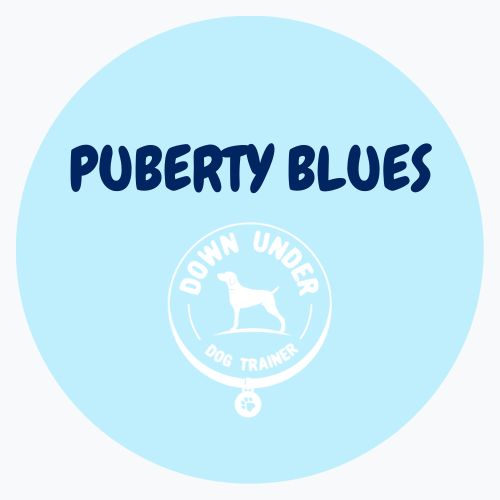 Purchase Puberty Blues  - 8 Session Program