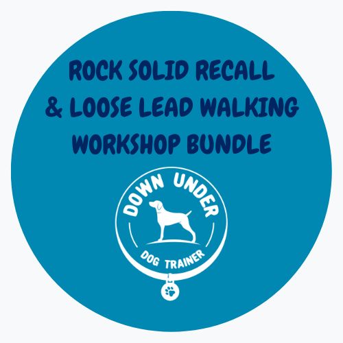 Purchase Rock Solid Recall + Loose Leash Walking Workshop - Bundle