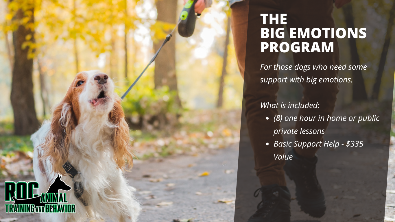 Purchase The Big Emotions Program