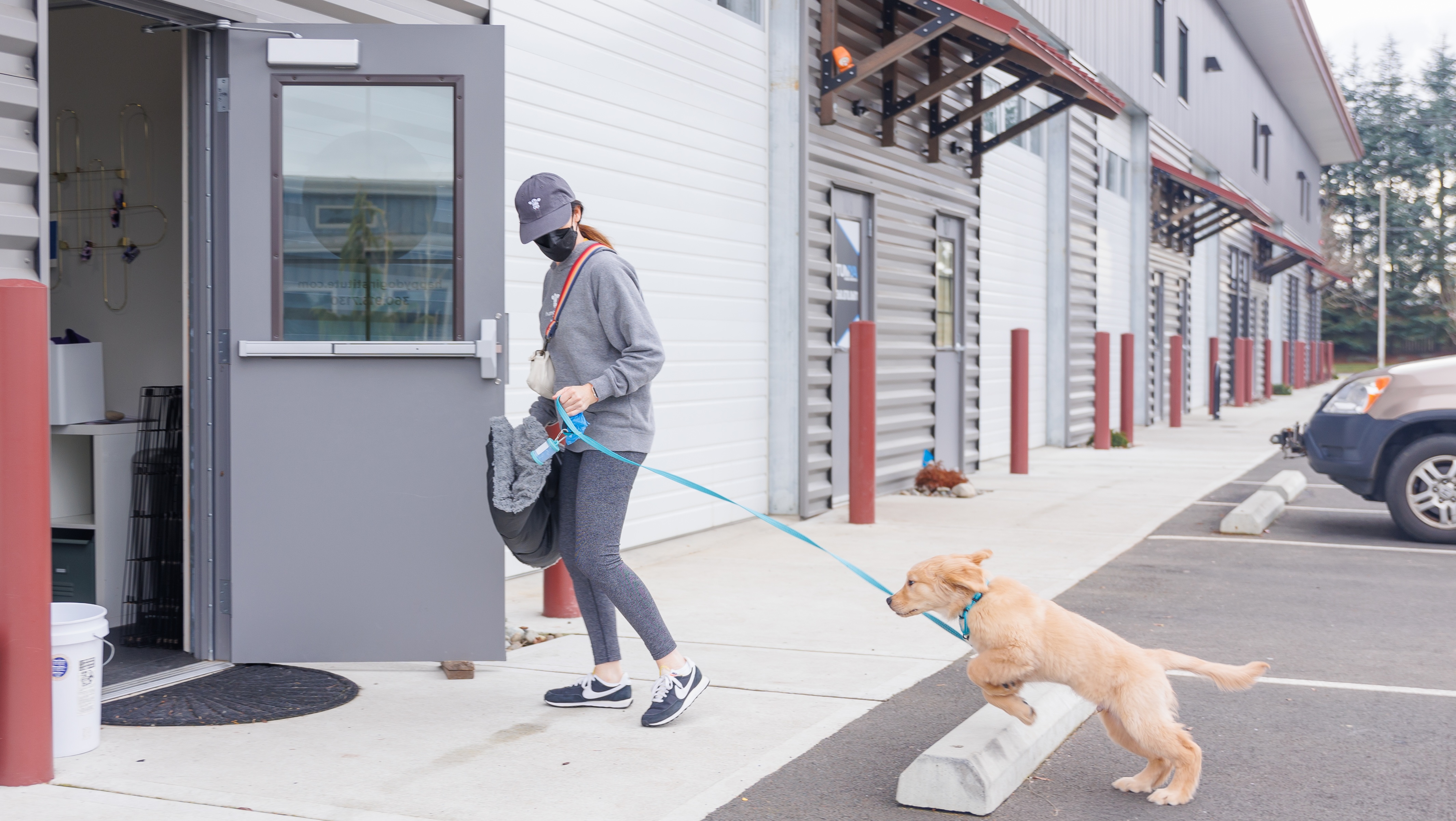 Purchase Puppy Gold Package: Puppy Primer + Four Weekly Play Groups + Focus & Control for Teens