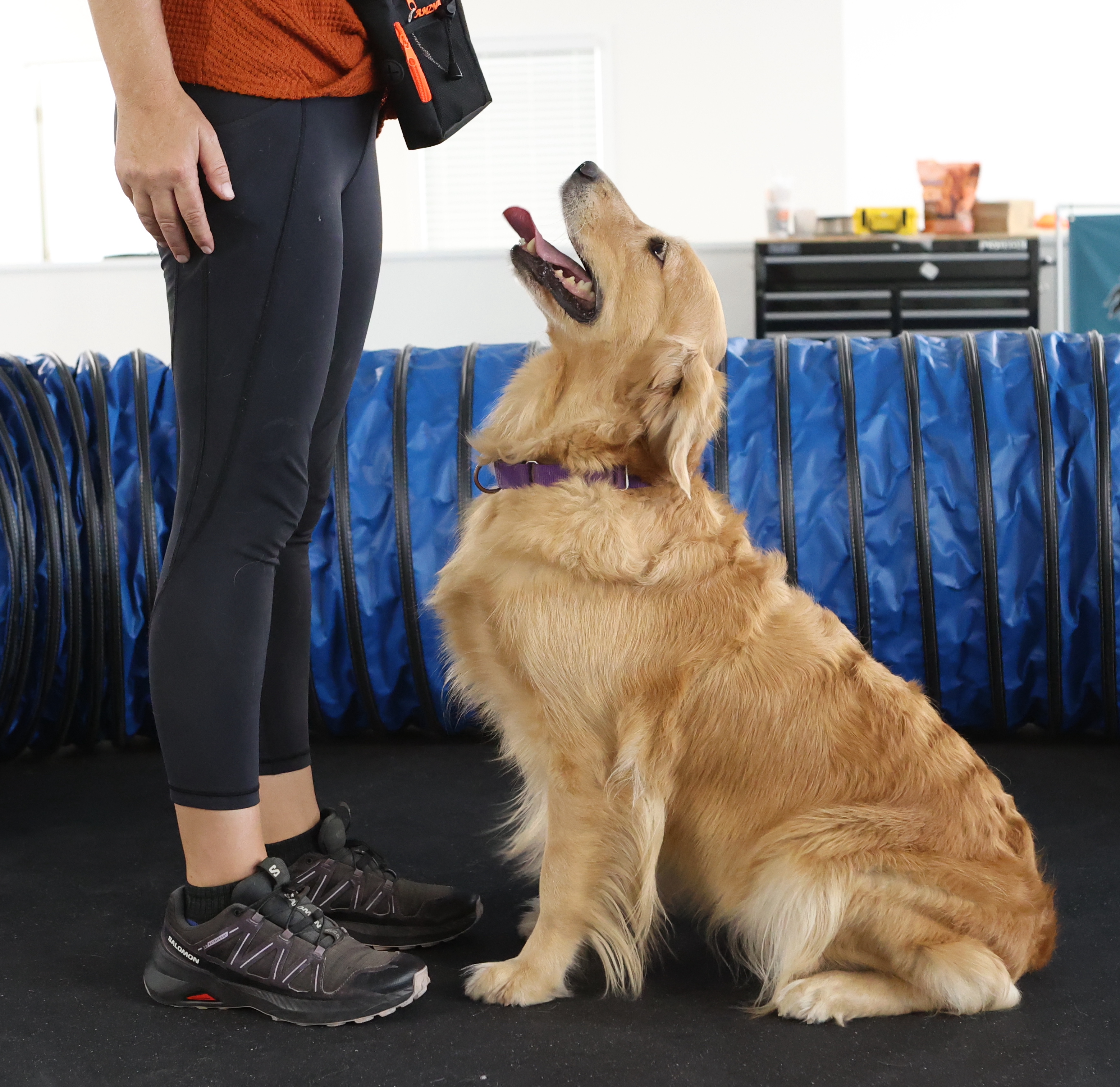 Purchase Crash 3 Lesson Package