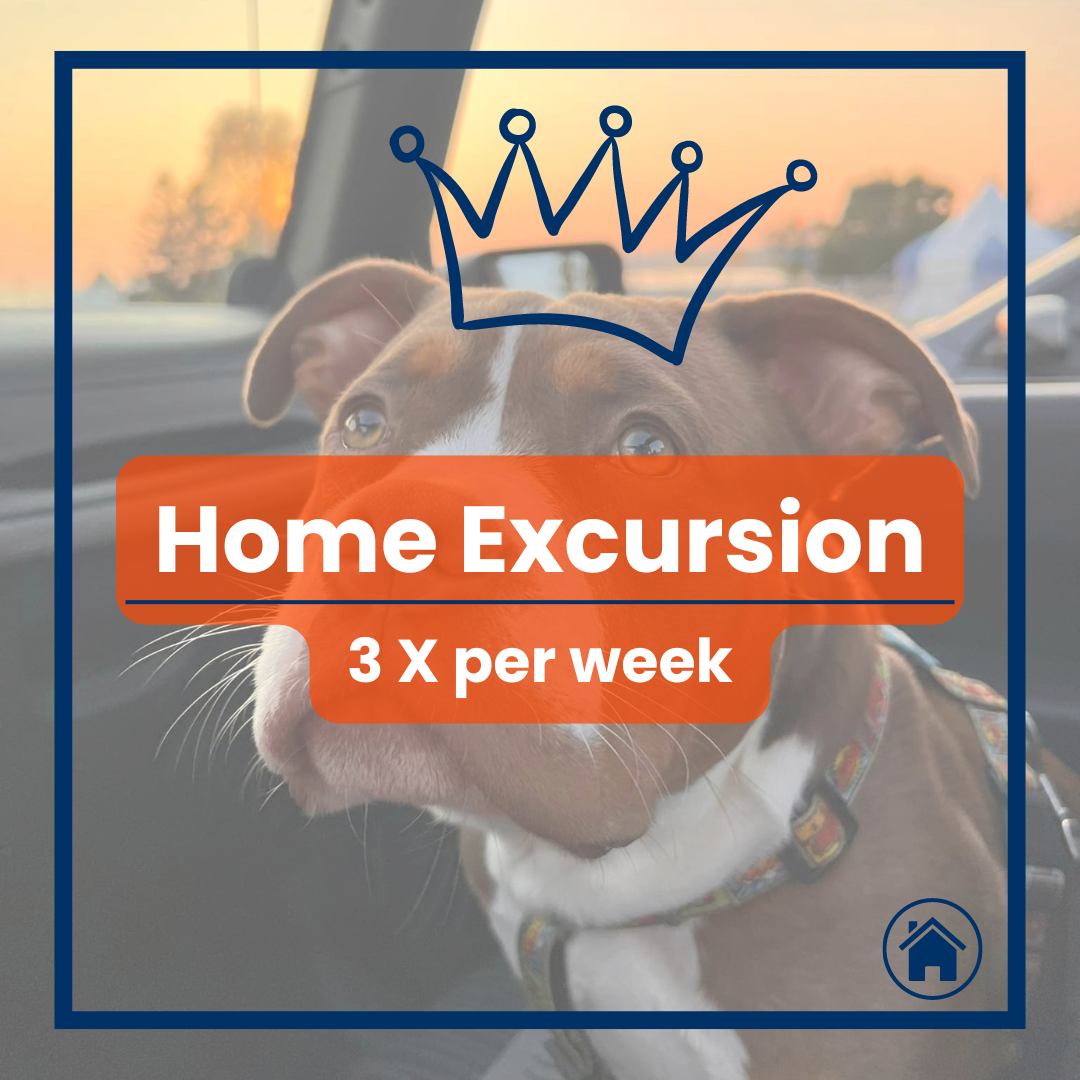 Purchase Home Excursions 3X per Week