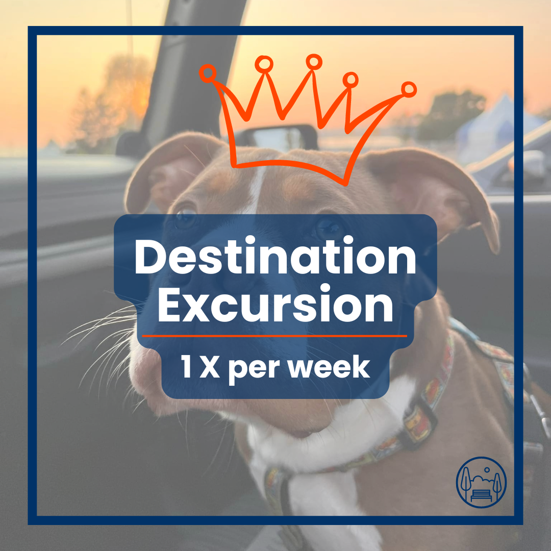 Purchase Destination Excursions 1X per Week