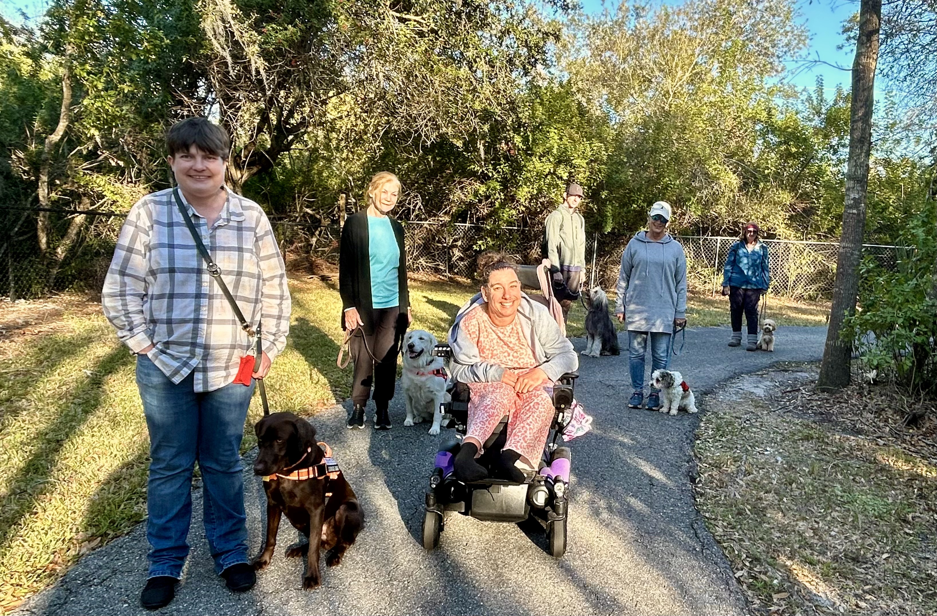 Purchase Therapy and PSD or Mobility Service Dog Training Program