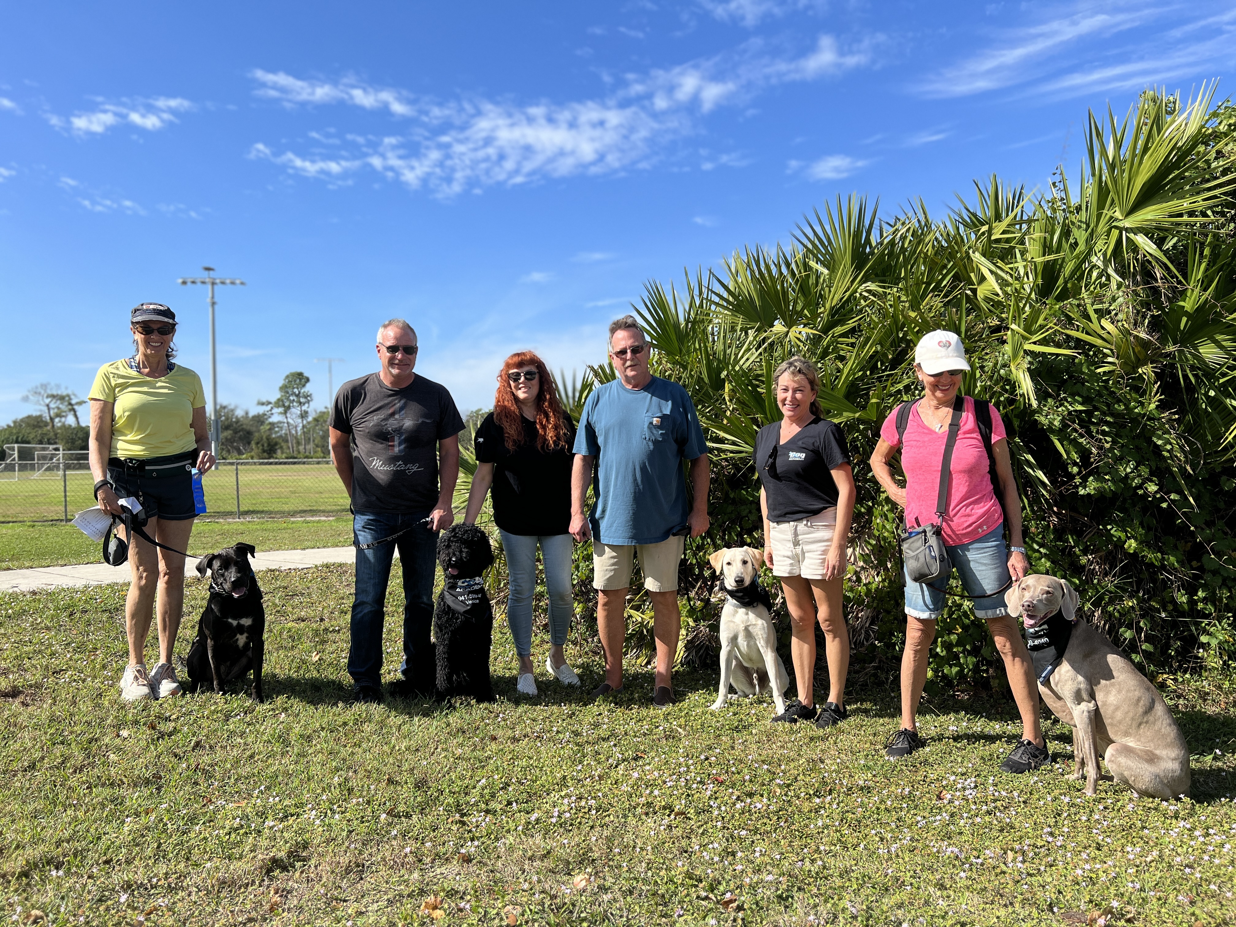 Purchase Best Mannered Pup