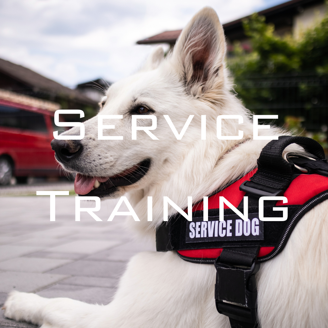 Purchase SERU: Ultimate Service Dog Package