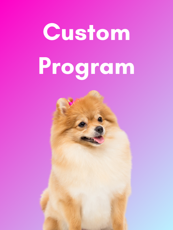 Purchase Custom Package