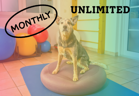 Purchase K9 Fit Club Monthly Pass - Twice a Week