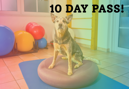 Purchase K9 Fit Club - 10 Class Punch Card