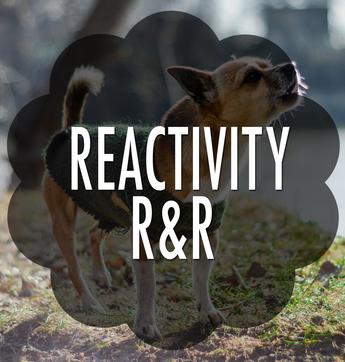 Purchase R&R Cont'd Ed • 6 Classes