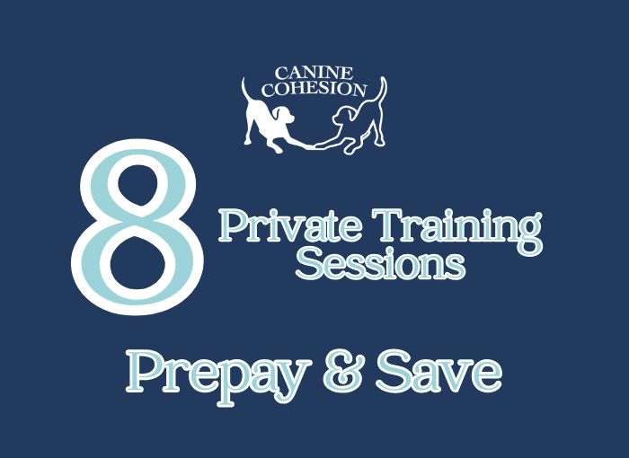 Purchase 8 Sessions - Private Training 