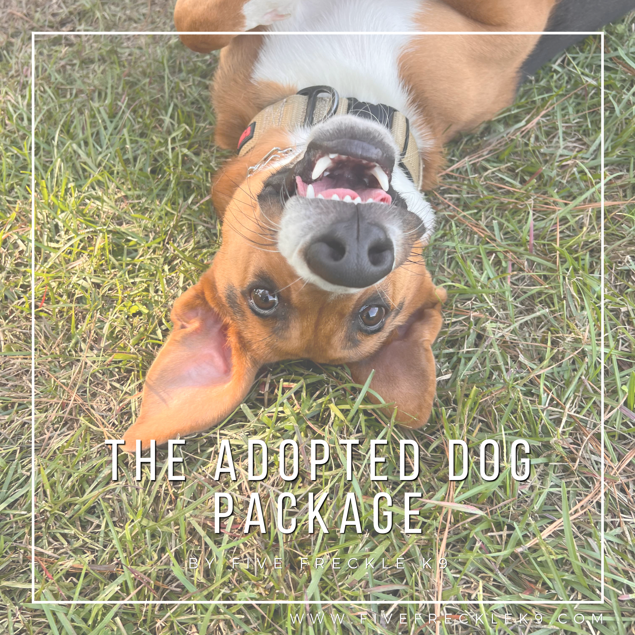 Purchase The Adopted Dog Package