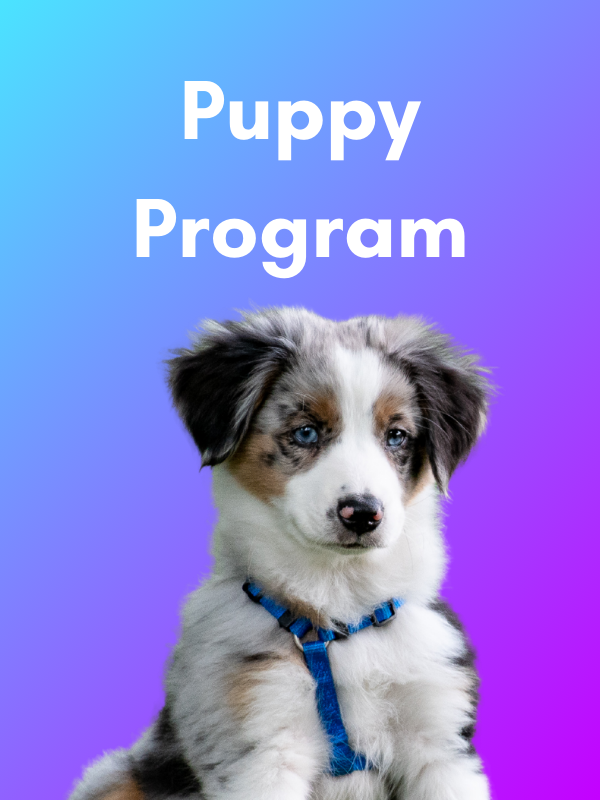 Purchase Puppy Program