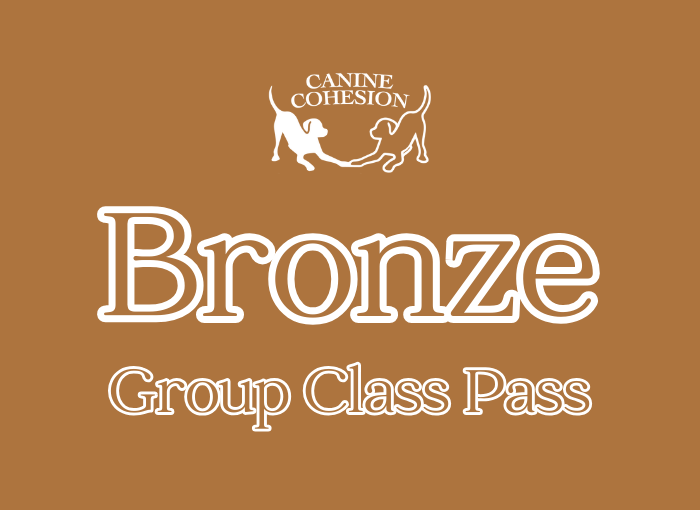 Purchase Class Pass - Bronze (6)