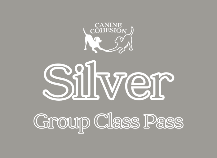Purchase Class Pass - Silver (10)