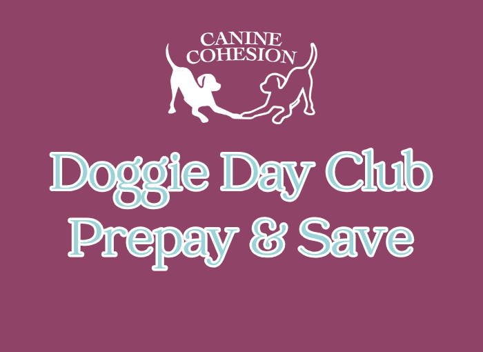 Purchase Day Club - 10 Full or 20 Half Days