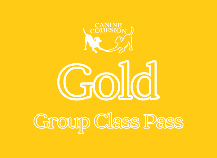 Purchase Class Pass - Gold (20)