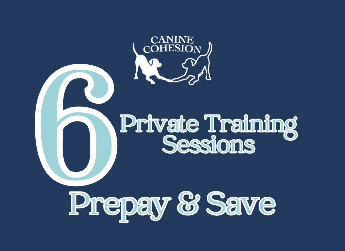 Purchase 6 Sessions - Private Training