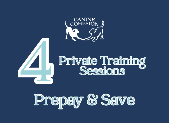 Purchase 4 Sessions - Private Training