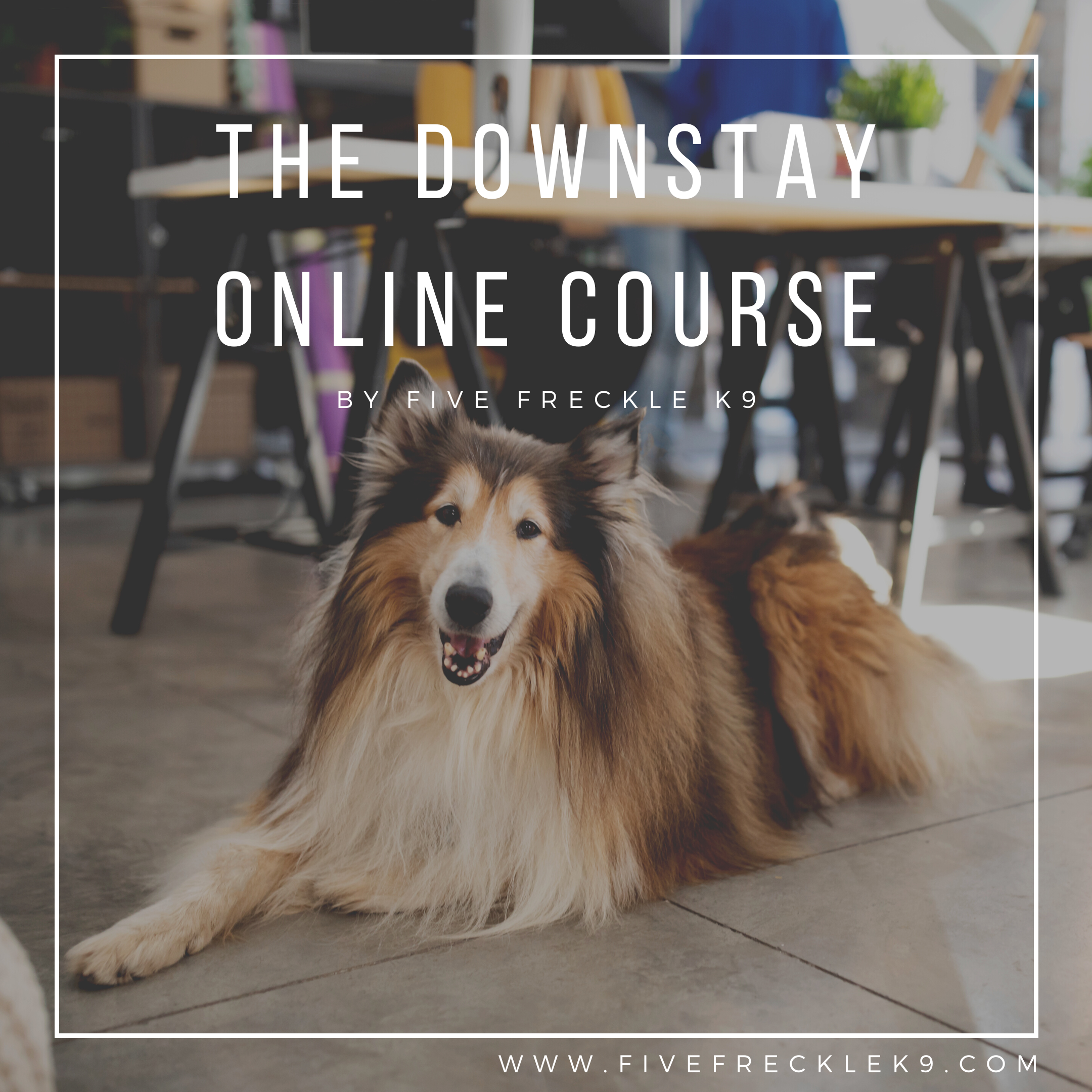 Purchase Online Course - Downstay