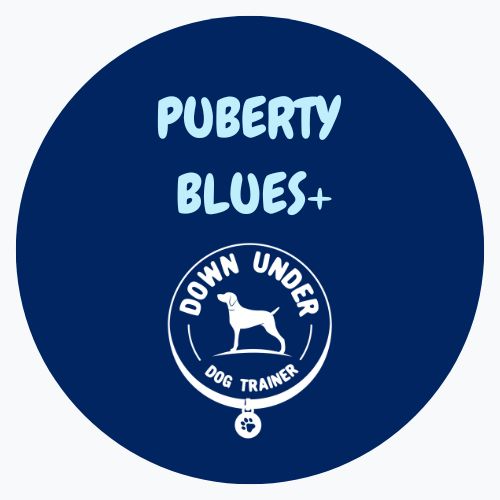 Purchase Puberty Blues+ (8 group sessions, 1 private session)