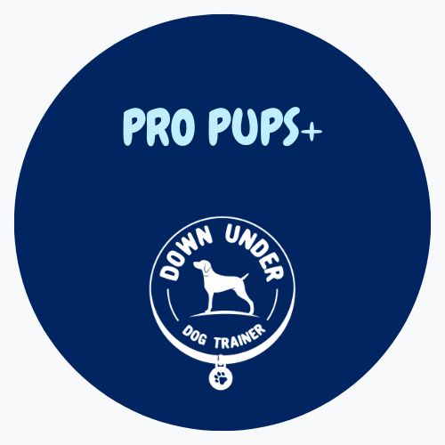 Purchase Pro Pups+ (Pro Pups Academy + 1 In Home Session)