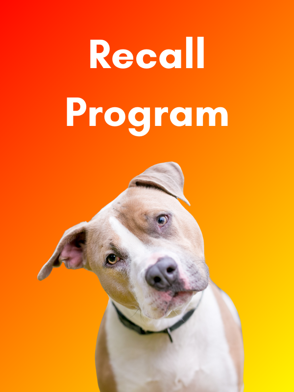 Purchase Recall Program