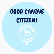 Purchase Good Canine Citizens+ (Good Canine Citizens + 1 in Home Session)