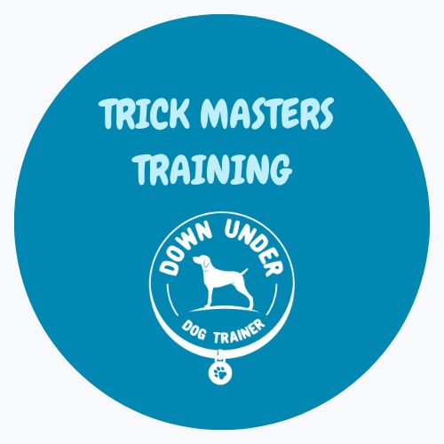 Purchase Trick Masters - 5 Week Program