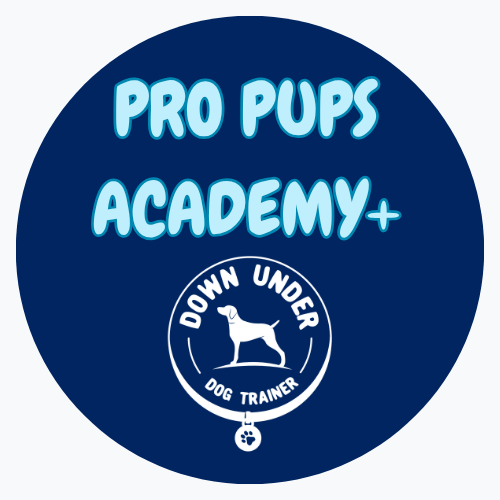 Purchase Pro Pups+ (PPA + 1 In Home Session)