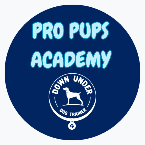 Purchase Pro Pups Academy