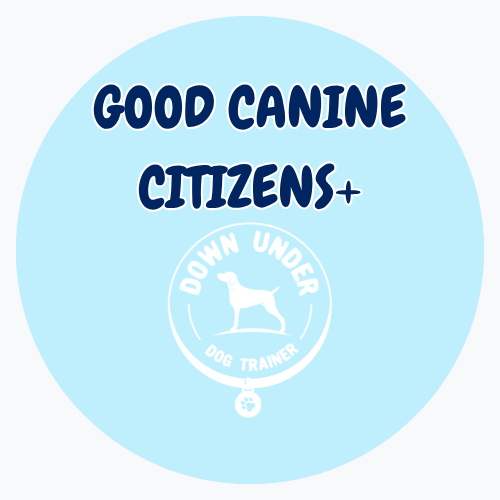 Purchase Good Canine Citizens+ (GCC + 3 Private Sessions)