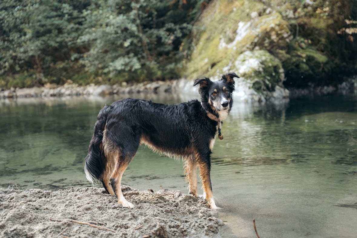 Purchase Reactive to Proactive 