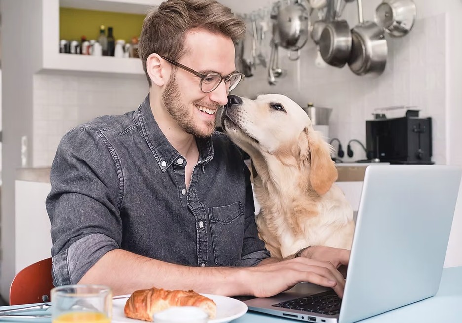 Purchase  Puppy i-Essentials Online Course 