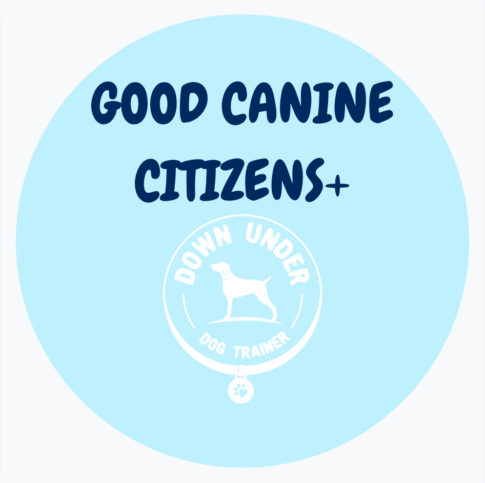 Purchase Good Canine Citizens+ (GCC + 3 Private Sessions)