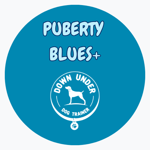 Purchase Puberty Blues+ (PB + 3 Private Sessions)