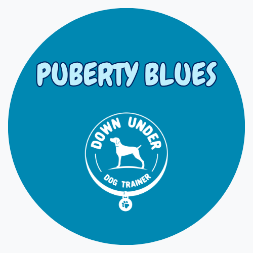 Purchase Puberty Blues