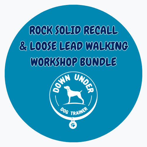 Purchase Rock Solid Recall + Loose Leash Walking Workshop - Bundle
