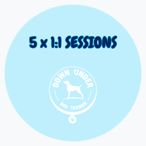 Purchase 5 Session Package for One on One Training