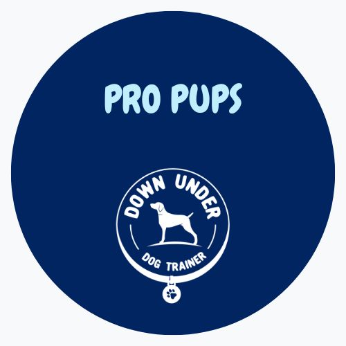 Purchase Pro Pups Academy