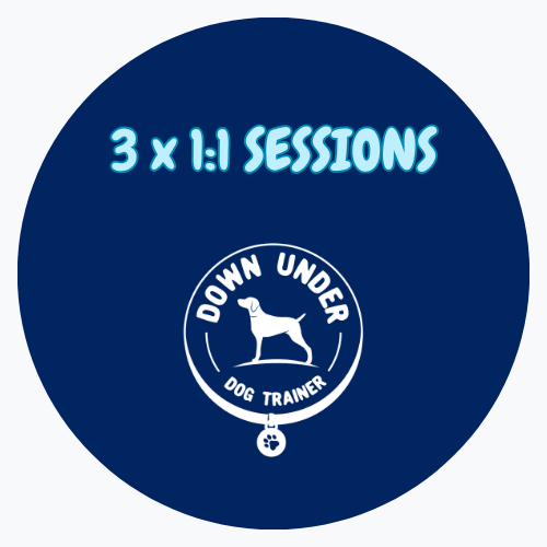 Purchase 3 Session Package for One on One Training