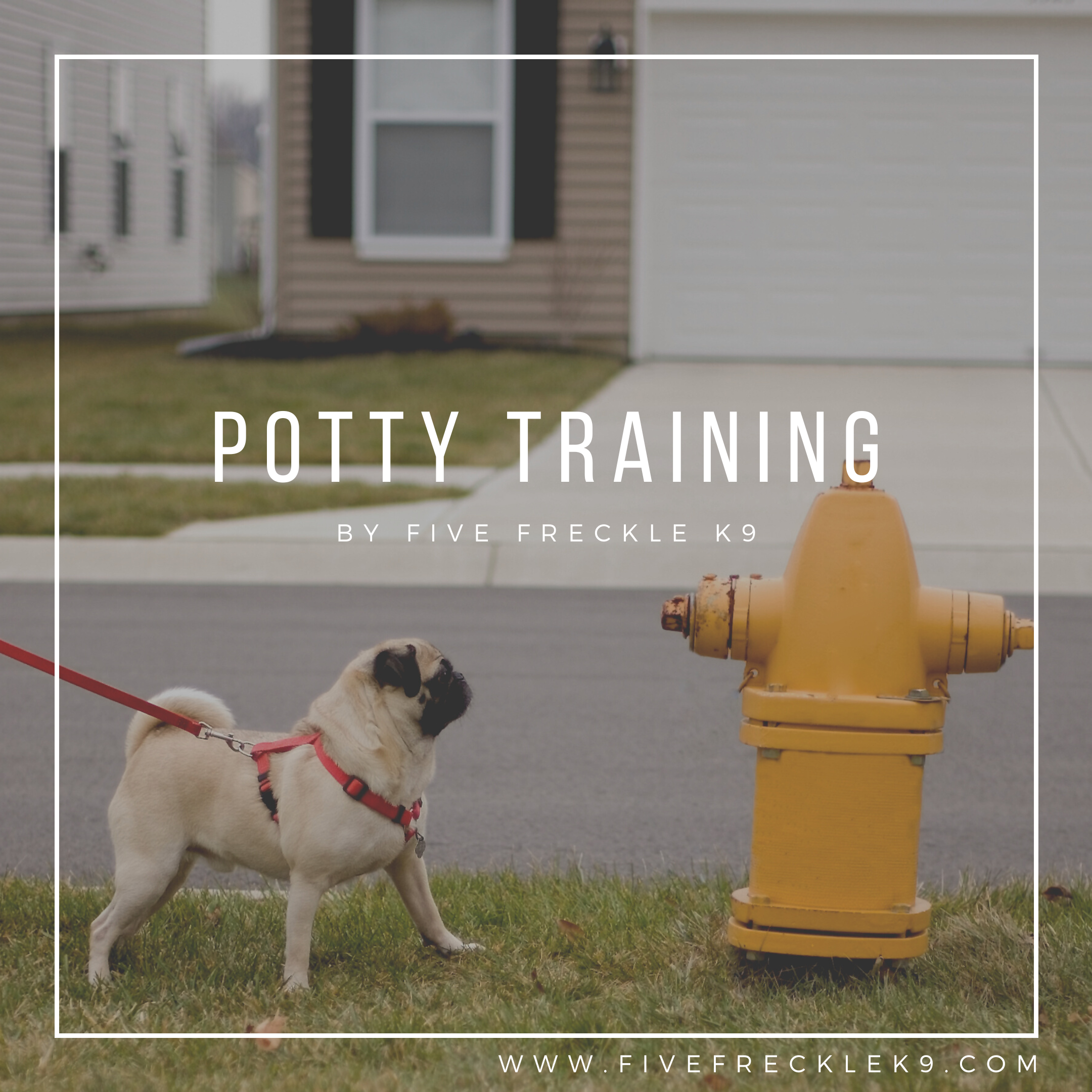 Purchase Online Course - Potty Training
