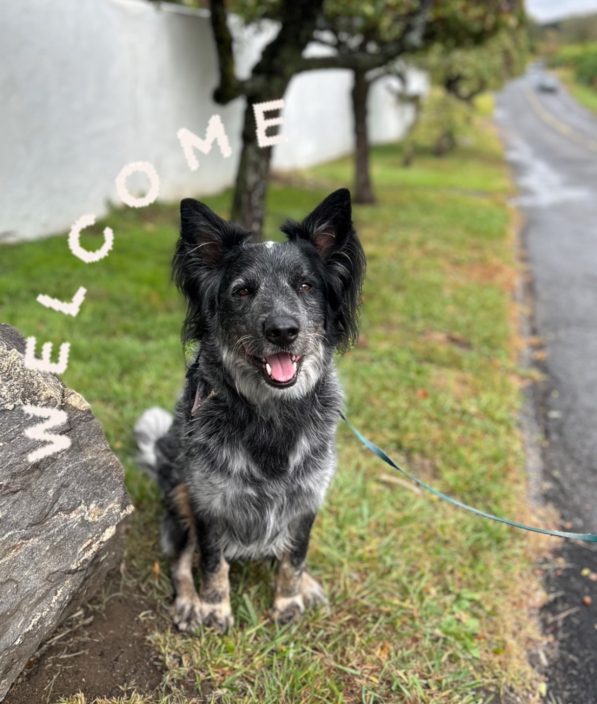 Purchase New Client Portal