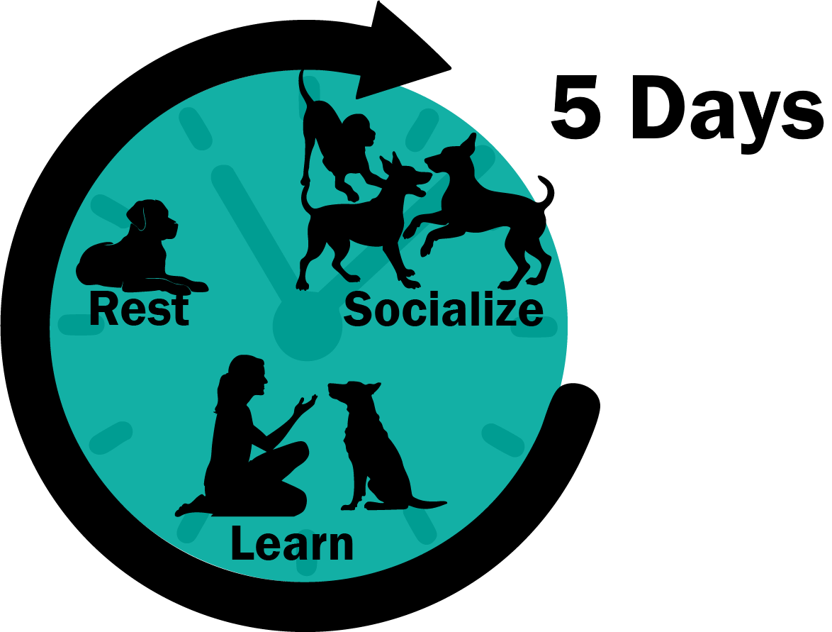 Purchase Day School : 5 credits Package